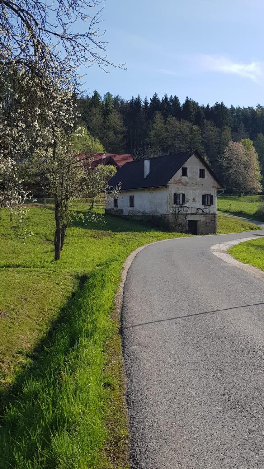 Presshaus Alte Muehle Villa Stainz Eksteriør billede