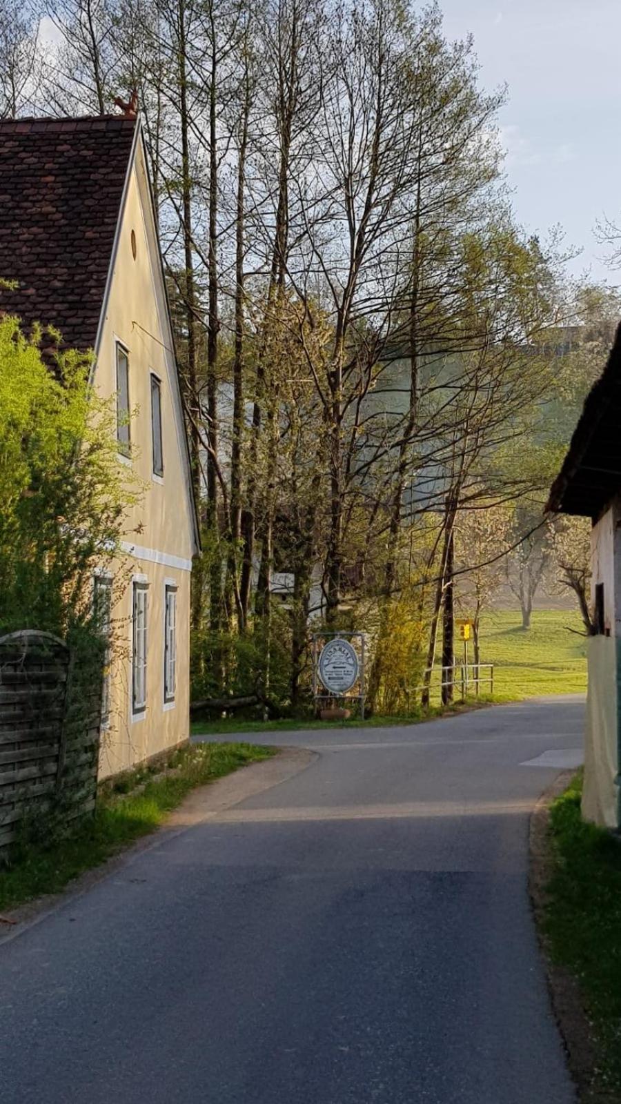 Presshaus Alte Muehle Villa Stainz Eksteriør billede